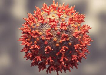 Assessing the risk of Omicron variant transmission by travelers from South Africa