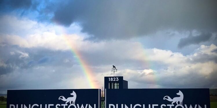 Punchestown Gets A Splash Of Purple – Sporting Post Punchestown Gets A Splash Of Purple – Sporting Post