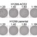Omicron extensively but incompletely escapes Pfizer BNT162b2 neutralization Omicron extensively but incompletely escapes Pfizer BNT162b2 neutralization