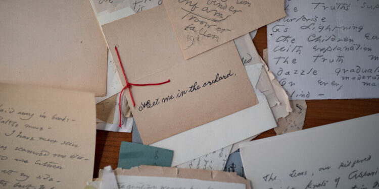 ‘Dickinson’ on AppleTV+ Is Ending. But the Props Live On in Archives.