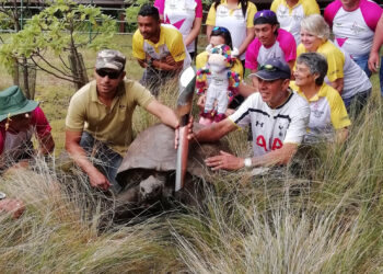 Queen's Baton Relay visits South Africa, Botswana and St Helena – Insidethegames.biz