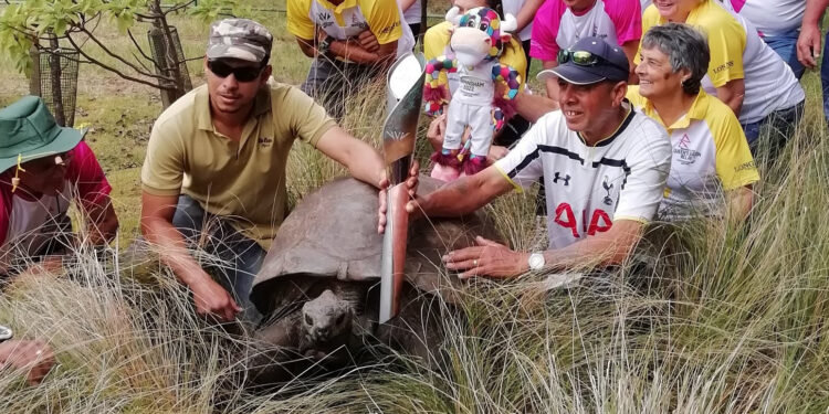 Queen's Baton Relay visits South Africa, Botswana and St Helena – Insidethegames.biz