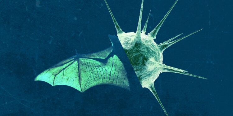 NeoCoV: What is the NeoCoV virus? Is it a new variant?