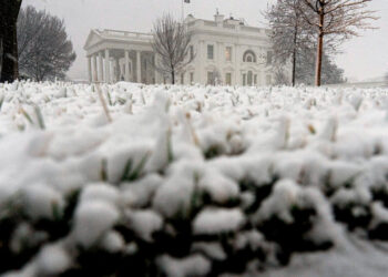 Winter Storm Hits the D.C. Area and Knocks Out Power Across Southeast