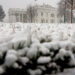Winter Storm Hits the D.C. Area and Knocks Out Power Across Southeast