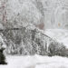 Body of Virginia Man Who Abandoned Vehicle in Snowstorm Is Found