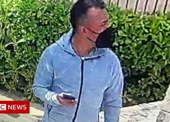 Three Canadians shot and one killed at upscale Mexican resort – BBC News