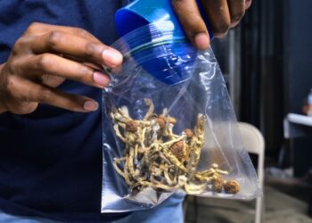 Psychedelic therapy drugs: Experts laud Canada’s update
