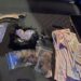 Suspected dealer caught carrying vast stash of Class A drugs, cash and a knife