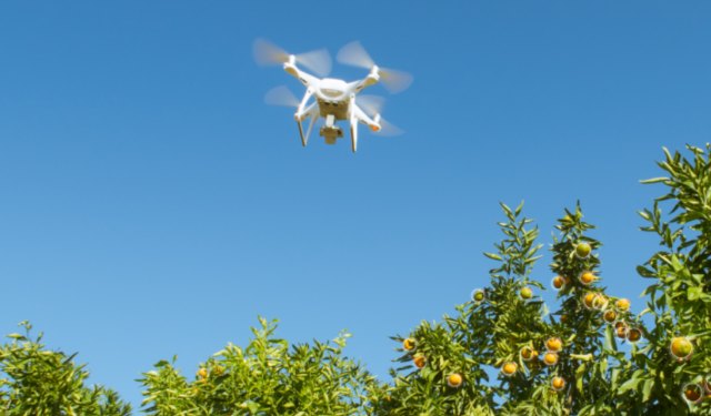 When you can use a drone to take photos in South Africa When you can use a drone to take photos in South Africa