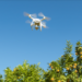 When you can use a drone to take photos in South Africa When you can use a drone to take photos in South Africa