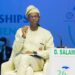 Doyin Salami, Buhari’s new economic adviser Doyin Salami, Buhari’s new economic adviser