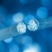 5 fiber trends we could see in South Africa in 2022 – including solutions to deal with load shedding