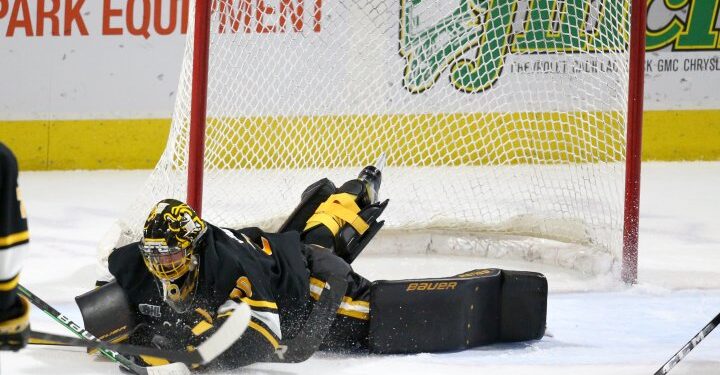 Big day from Ben Gaudreau leads Sarnia Sting to 4-2 victory over London Knights – London Big day from Ben Gaudreau leads Sarnia Sting to 4-2 victory over London Knights – London