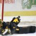 Big day from Ben Gaudreau leads Sarnia Sting to 4-2 victory over London Knights – London Big day from Ben Gaudreau leads Sarnia Sting to 4-2 victory over London Knights – London