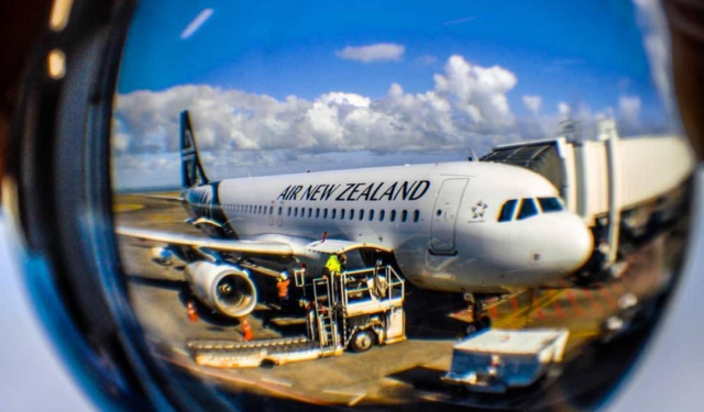 More South Africans becoming New Zealand residents under new scheme More South Africans becoming New Zealand residents under new scheme