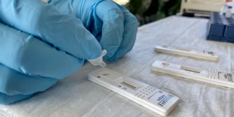 COVID-19 rapid antigen tests available for concession card holders but pharmacists fear there won’t be enough