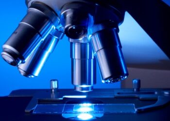 Lawson among top 10 research institutes in Canada, again