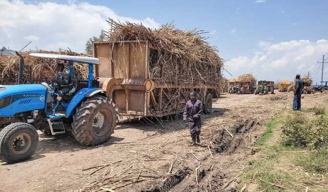Rai Sh5bn Naitiri plant starts milling in Q1