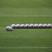 Rugby-Argentina beat All Blacks in New Zealand for first time Rugby-Argentina beat All Blacks in New Zealand for first time