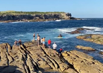 Shark Kills Swimmer in Rare Death Off Sydney Coast