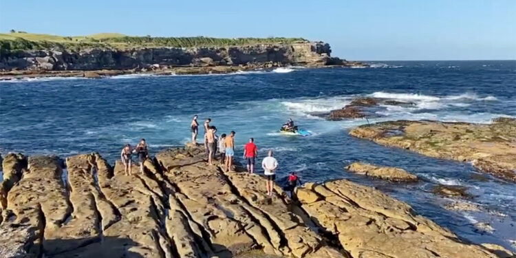 Shark Kills Swimmer in Rare Death Off Sydney Coast Shark Kills Swimmer in Rare Death Off Sydney Coast