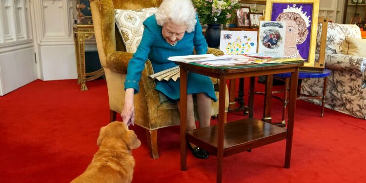 Royal Family: How the Queen invented her own dog breed by accident