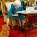 Royal Family: How the Queen invented her own dog breed by accident