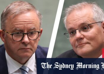 NSW restrictions ease, Little Bay shark attack death Sydney’s first fatal in 60 years, NSW COVID cases grow, Victoria COVID cases grow, Labor backs Coalition’s immigration bill, Qld COVID cases grow, WA COVID cases grow, SA COVID cases grow, NT COVID cases grow