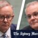 NSW restrictions ease, Little Bay shark attack death Sydney’s first fatal in 60 years, NSW COVID cases grow, Victoria COVID cases grow, Labor backs Coalition’s immigration bill, Qld COVID cases grow, WA COVID cases grow, SA COVID cases grow, NT COVID cases grow