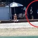 Children ‘screamed at’ on private Chinese island in Australia