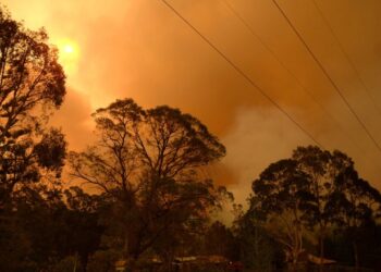 Western Australia bushfire destroys several homes