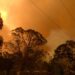 Western Australia bushfire destroys several homes