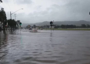 Sydney hit by storms and flash flooding