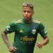 Timbers suspend Polo amid abuse allegations – Ghana Latest Football News, Live Scores, Results Timbers suspend Polo amid abuse allegations – Ghana Latest Football News, Live Scores, Results