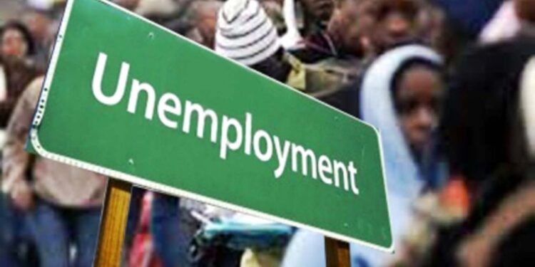 NGO completes skills-to-employment initiative | The Guardian Nigeria News NGO completes skills-to-employment initiative | The Guardian Nigeria News