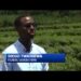 How this young agro-entrepreneur is taking Rwandan chillies global