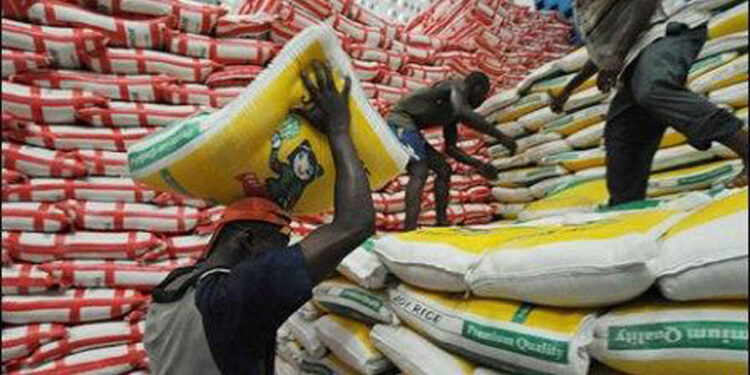 SON, NFIU collaborate to tackle fake products importation | The Guardian Nigeria News SON, NFIU collaborate to tackle fake products importation | The Guardian Nigeria News
