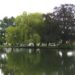 The hidden River Thames island you’ve probably never heard of that has a surprising connection to ancient Egypt The hidden River Thames island you’ve probably never heard of that has a surprising connection to ancient Egypt