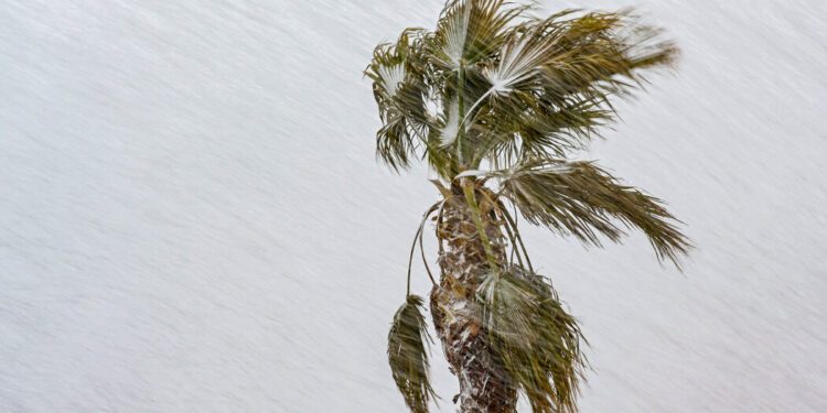 Late-Winter Storm to Sweep Across the U.S. Into Saturday Late-Winter Storm to Sweep Across the U.S. Into Saturday