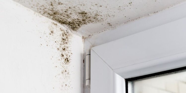 London property: Doctors to start asking patients about air quality in their homes London property: Doctors to start asking patients about air quality in their homes