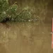 ‘Brown sea’ of flood damage is ‘unrelenting’ ‘Brown sea’ of flood damage is ‘unrelenting’