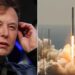 The SpaceX Starlink app topped the download charts in Ukraine after Elon Musk sent terminals to the country The SpaceX Starlink app topped the download charts in Ukraine after Elon Musk sent terminals to the country
