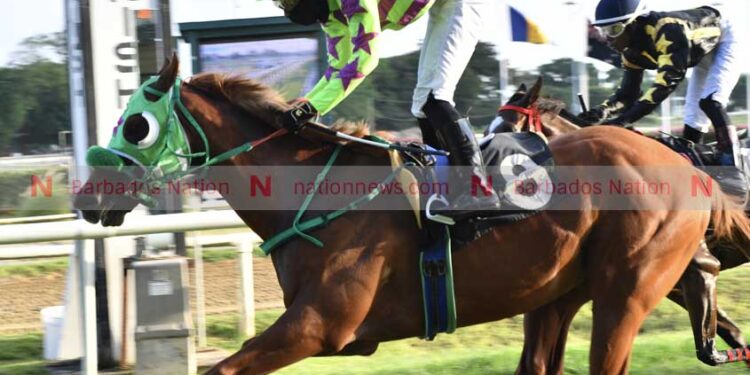 Top apprentice heads to Canada – NationNews Barbados — nationnews.com Top apprentice heads to Canada – NationNews Barbados — nationnews.com