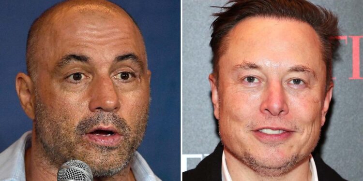 Joe Rogan said he offered to train Elon Musk for his ‘epic’ one-on-one fight with Vladimir Putin