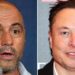 Joe Rogan said he offered to train Elon Musk for his ‘epic’ one-on-one fight with Vladimir Putin