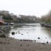 ‘I went in search of the deserted River Thames island that’s so fragile it could disappear’ ‘I went in search of the deserted River Thames island that’s so fragile it could disappear’