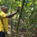Coffee sector in Burundi struggles to rebound [Business Africa]