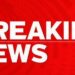 Acton live: Updates as woman sets fire to part of house and throws burning items at police Acton live: Updates as woman sets fire to part of house and throws burning items at police