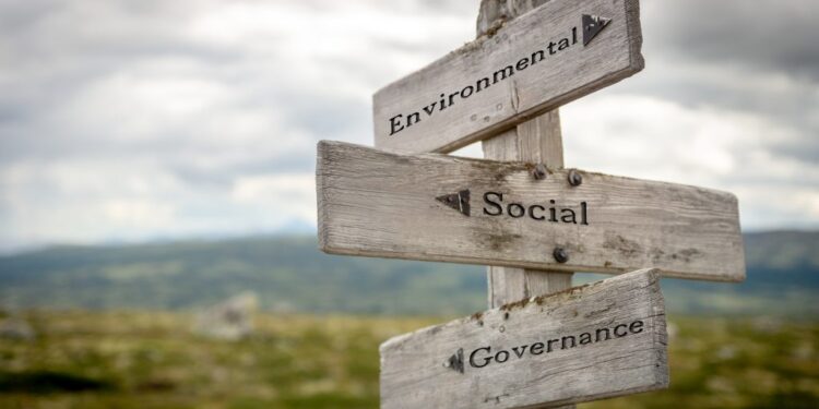 Pressure on small businesses to become green too Pressure on small businesses to become green too